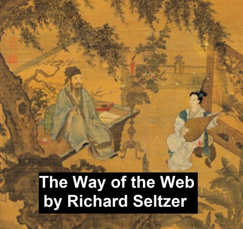 Cover of the book The Way of the Web by Richard Seltzer, Seltzer Books