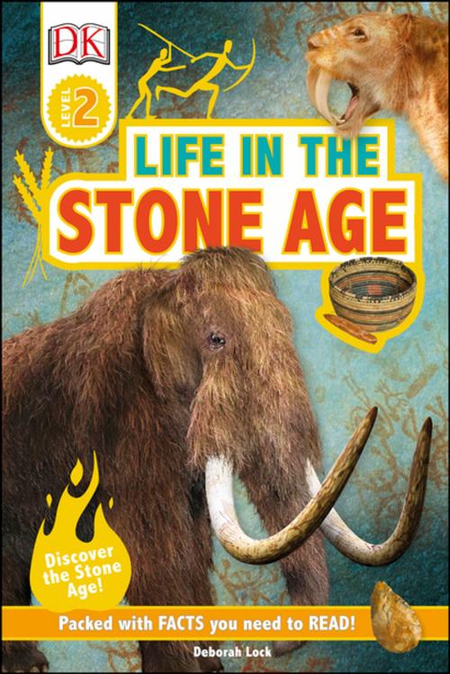 Cover of the book DK Readers L2: Life In the Stone Age by Deborah Lock, DK Publishing