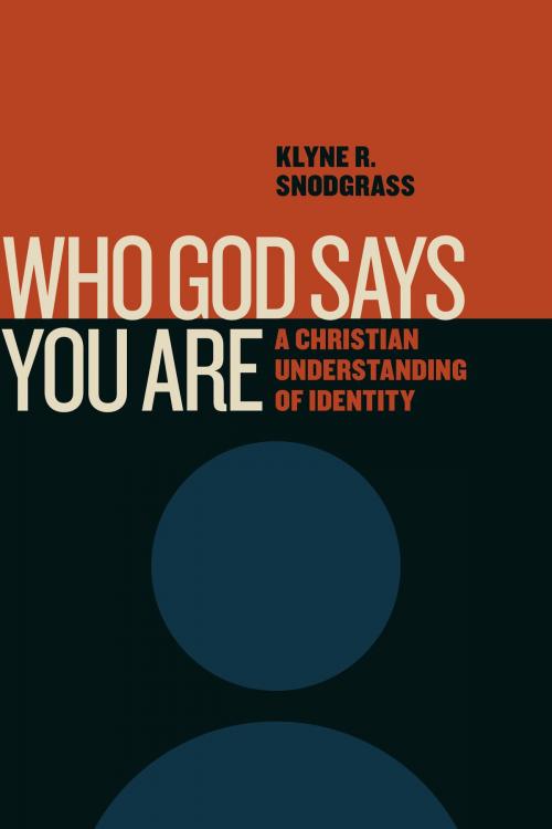 Cover of the book Who God Says You Are by Klyne R. Snodgrass, Wm. B. Eerdmans Publishing Co.