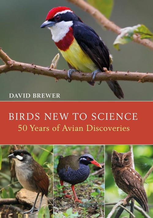 Cover of the book Birds New to Science by Mr David Brewer, Bloomsbury Publishing