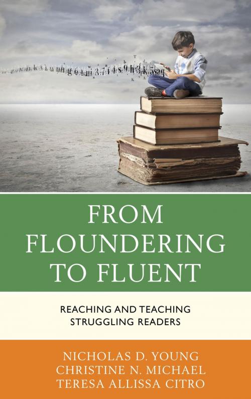 Cover of the book From Floundering to Fluent by Nicholas D. Young, Christine N. Michael, Teresa Citro, Rowman & Littlefield Publishers