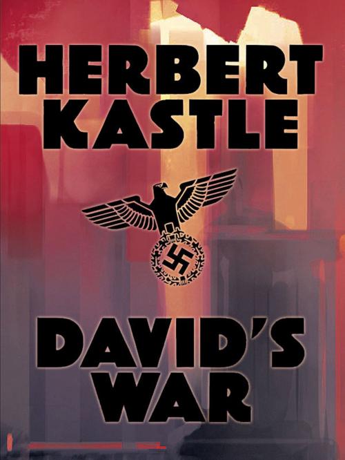 Cover of the book David's War by Herbert Kastle, Wildside Press LLC