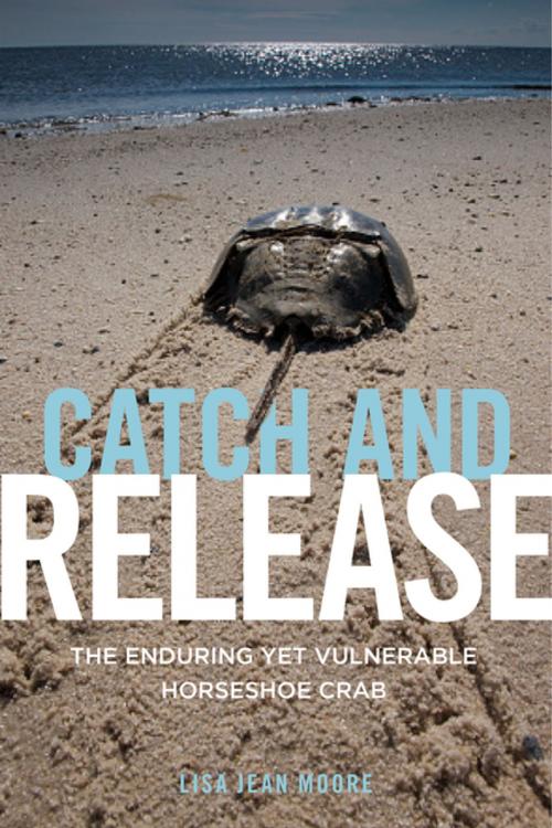 Cover of the book Catch and Release by Lisa Jean Moore, NYU Press