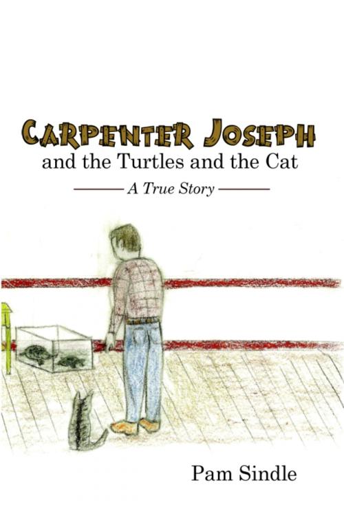 Cover of the book Carpenter Joseph and the Turtles and the Cat by Pam Sindle, Dorrance Publishing