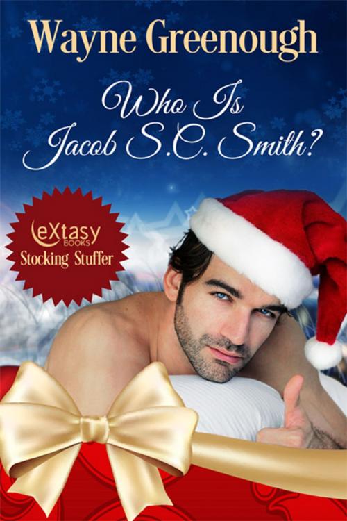 Cover of the book Who Is Jacob S.C. Smith? by Wayne Greenough, eXtasy Books Inc