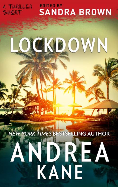 Cover of the book Lockdown by Andrea Kane, MIRA Books