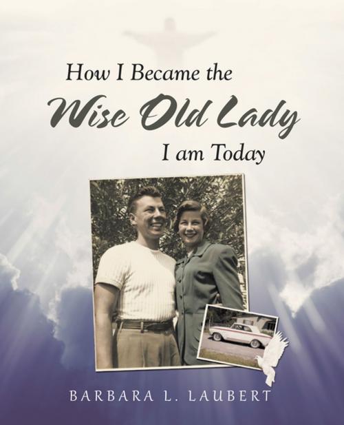 Cover of the book How I Became the Wise Old Lady I Am Today by Barbara L. Laubert, LifeRich Publishing