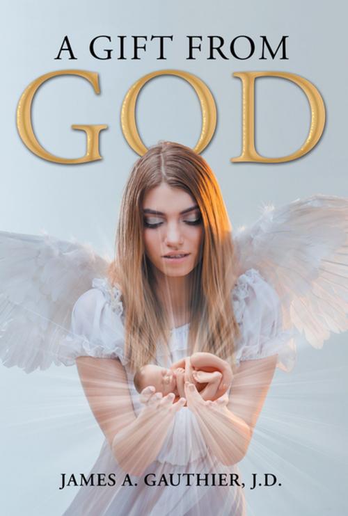 Cover of the book A Gift from God by James A. Gauthier J.D., Trafford Publishing