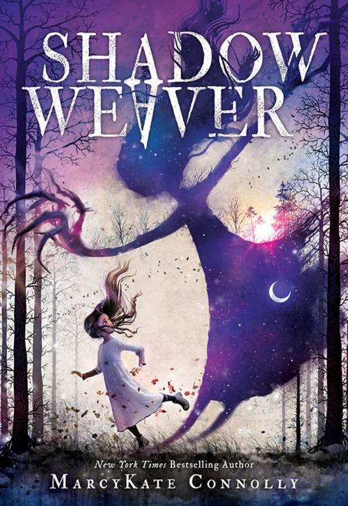 Cover of the book Shadow Weaver by MarcyKate Connolly, Sourcebooks