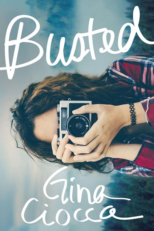 Cover of the book Busted by Gina Ciocca, Sourcebooks
