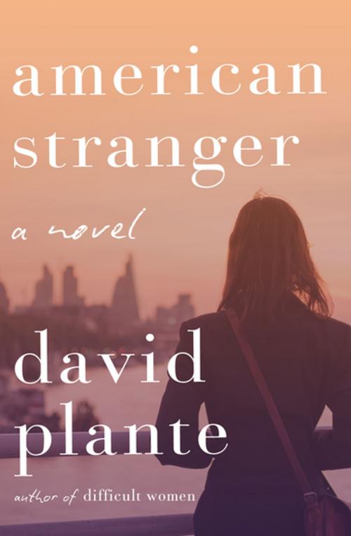 Cover of the book American Stranger by David Plante, Delphinium Books