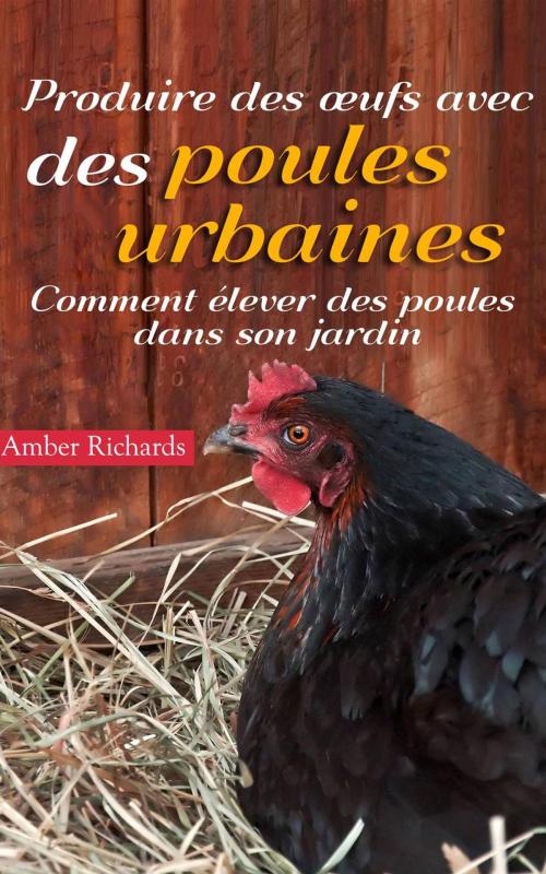 Cover of the book Produire des œufs avec des poules urbaines : Comment élever des poules dans son jardin by Amber Richards, Babelcube Inc.