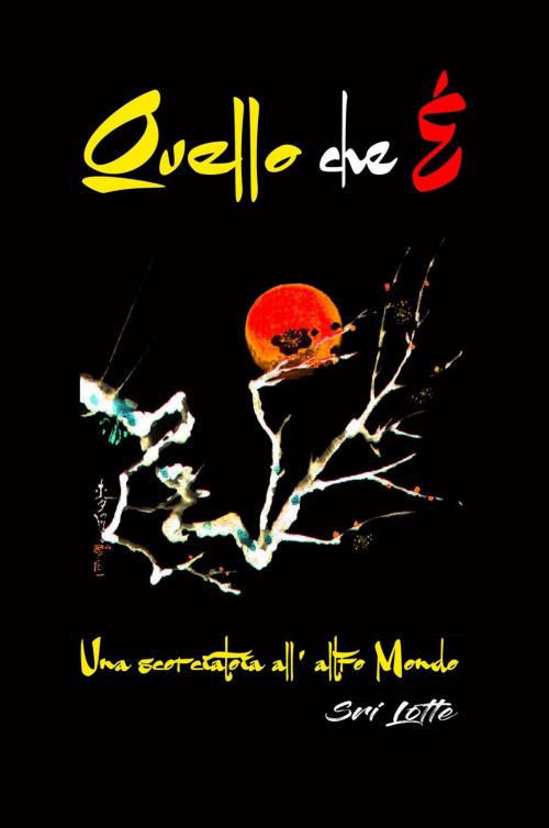 Cover of the book Quello che É - Una scorciatoia all' Altro Mondo by Sri Lotte, Juan Pedropablo