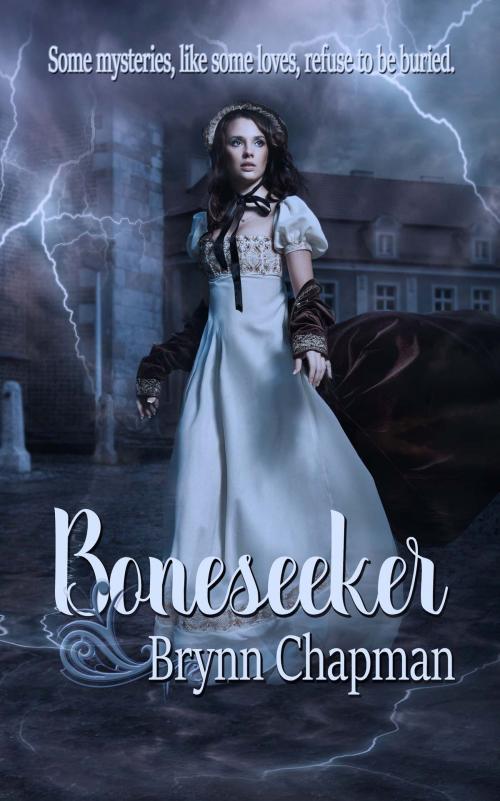 Cover of the book Boneseeker by Brynn  Chapman, The Wild Rose Press, Inc.