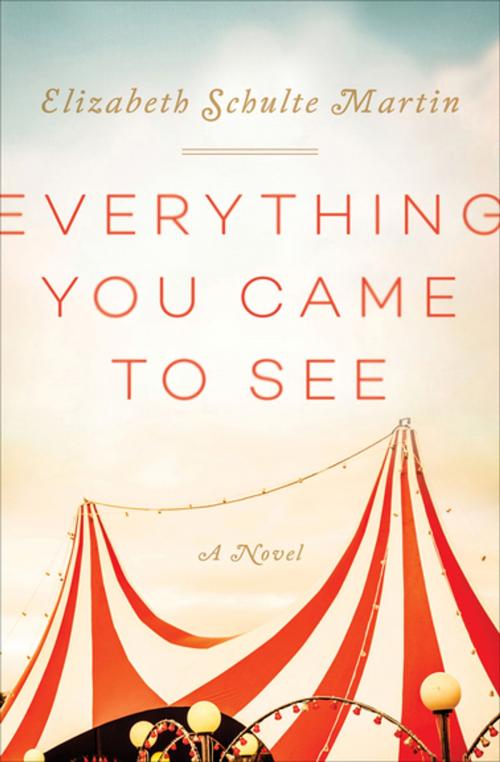 Cover of the book Everything You Came to See by Elizabeth Schulte Martin, Skyhorse Publishing
