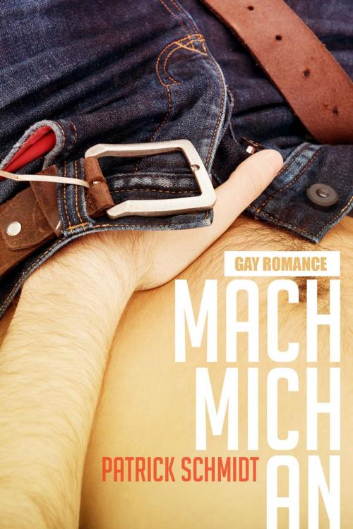Cover of the book Mach mich an: Gay Romance by Patrick Schmidt, Passionate Dreams