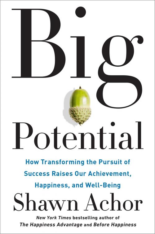 Cover of the book Big Potential by Shawn Achor, The Crown Publishing Group