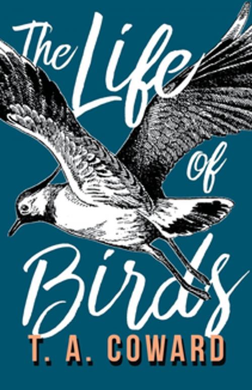 Cover of the book The Life of Birds by T. A. Coward, Read Books Ltd.