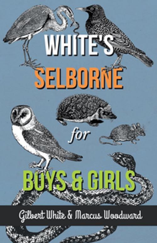 Cover of the book White's Selborne for Boys and Girls by White Gilbert, Read Books Ltd.