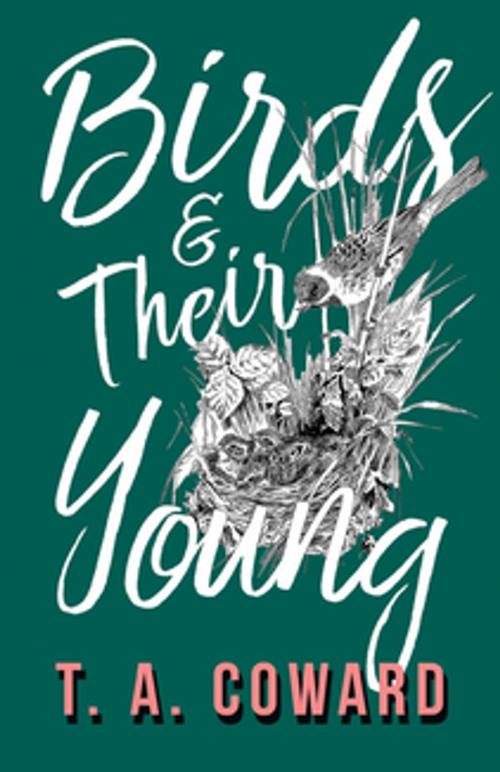 Cover of the book Birds and Their Young by T. A. Coward, Read Books Ltd.