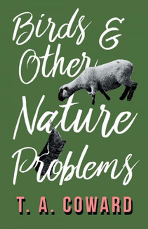 Cover of the book Bird and Other Nature Problems by T. A. Coward, Read Books Ltd.