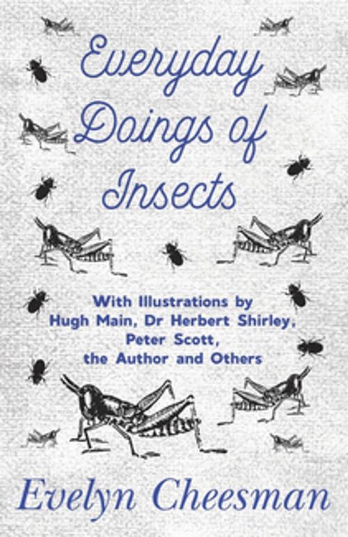 Cover of the book Everyday Doings of Insects - With Illustrations by Hugh Main, Dr Herbert Shirley, Peter Scott, the Author and Others by Evelyn Cheesman, Read Books Ltd.