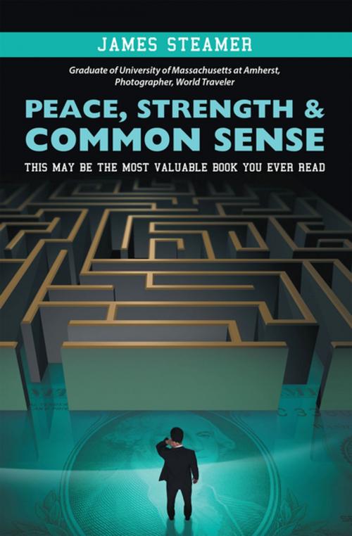Cover of the book Peace, Strength & Common Sense by James Steamer, iUniverse