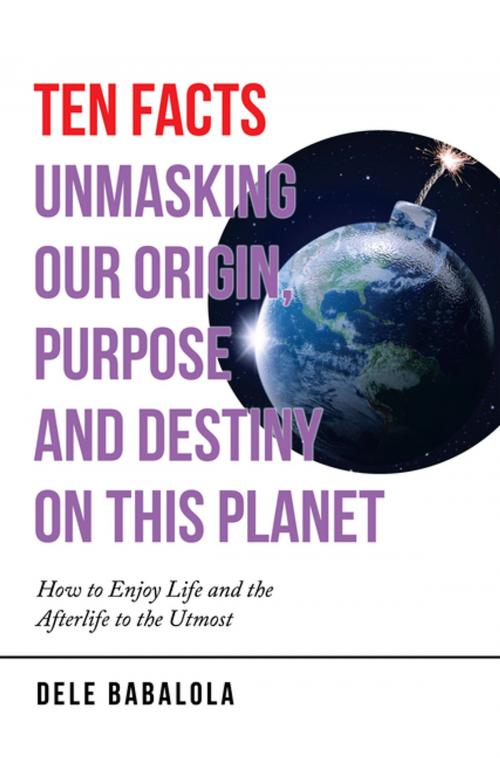 Cover of the book Ten Facts Unmasking Our Origin, Purpose and Destiny on This Planet by Dele Babalola, iUniverse