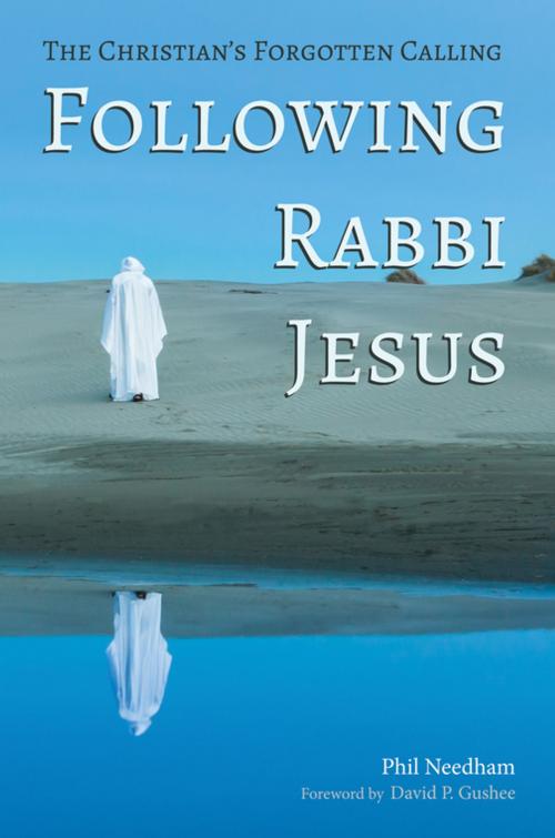 Cover of the book Following Rabbi Jesus by Phil Needham, Wipf and Stock Publishers