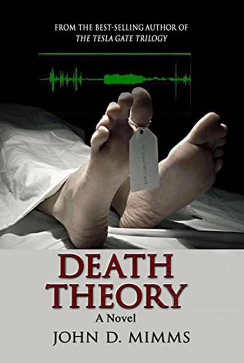 Cover of the book Death Theory by John D. Mimms, John D. Mimms