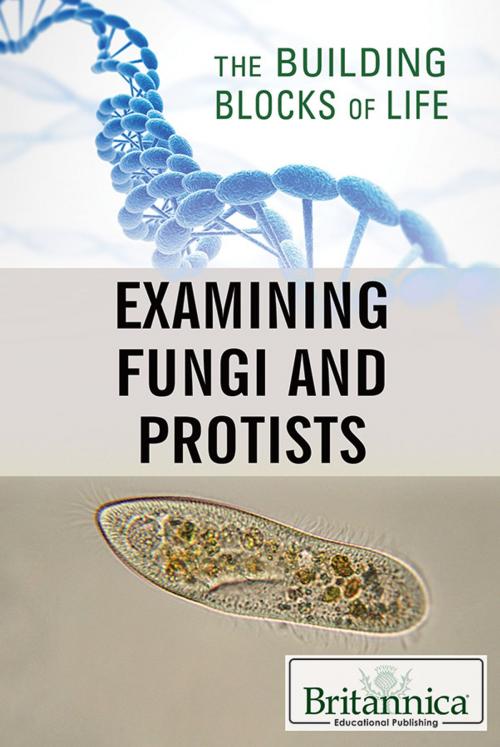 Cover of the book Examining Fungi and Protists by Louise Eaton, Britannica Educational Publishing