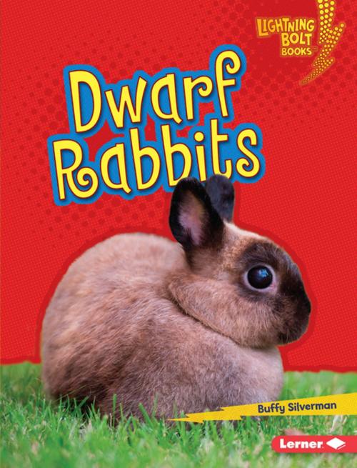 Cover of the book Dwarf Rabbits by Buffy Silverman, Lerner Publishing Group