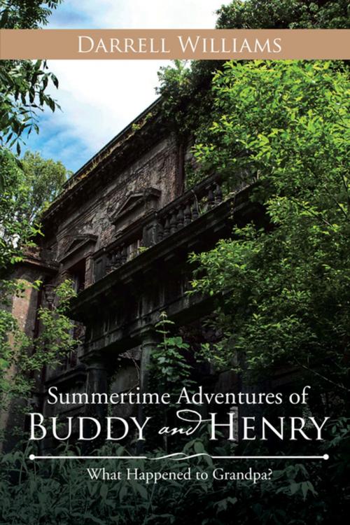Cover of the book Summertime Adventures of Buddy and Henry by Darrell Williams, Xlibris US