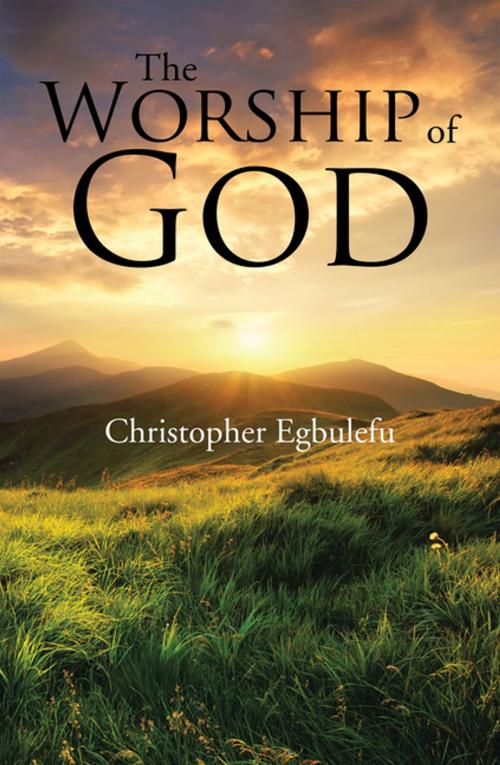 Cover of the book The Worship of God by Christopher Egbulefu, Xlibris US