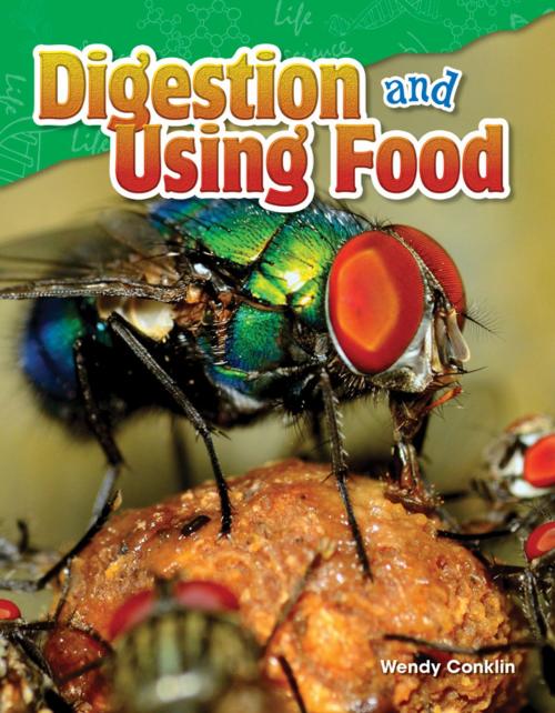 Cover of the book Digestion and Using Food by Wendy Conklin, Teacher Created Materials