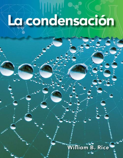 Cover of the book La condensación by William B. Rice, Teacher Created Materials