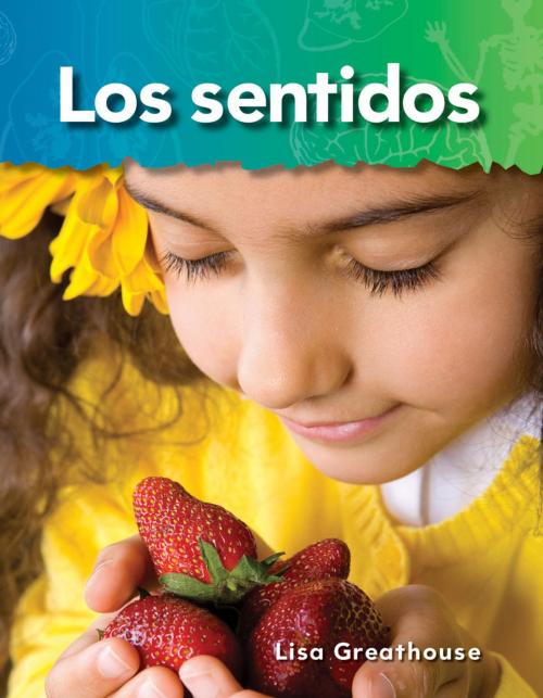 Cover of the book Los sentidos by Lisa Greathouse, Teacher Created Materials