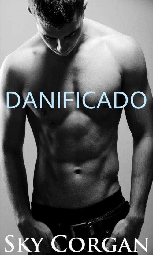 Cover of the book Danificado by Sky Corgan, Babelcube Inc.