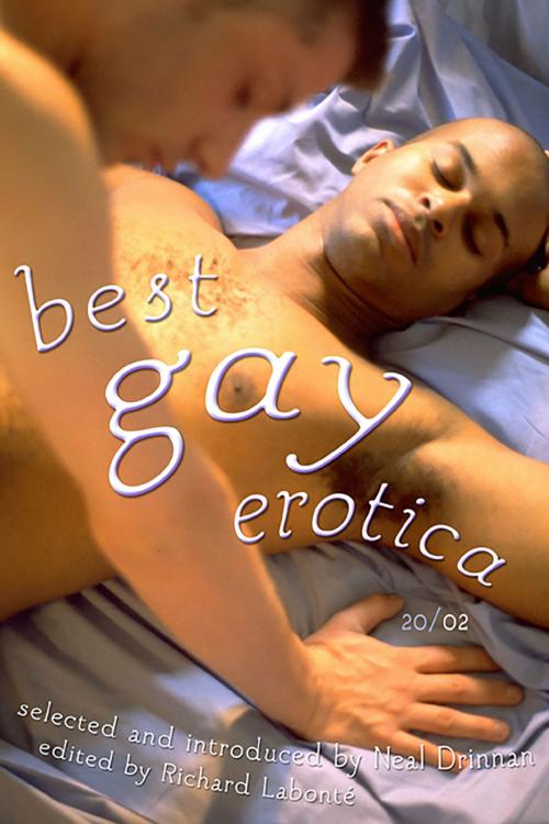 Cover of the book Best Gay Erotica 2002 by , Cleis Press