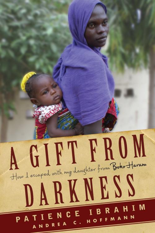 Cover of the book A Gift from Darkness by Andrea Claudia Hoffmann, Patience Ibrahim, Other Press
