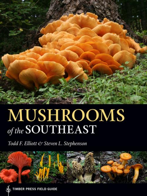 Cover of the book Mushrooms of the Southeast by Steven L. Stephenson, Todd F. Elliott, Timber Press