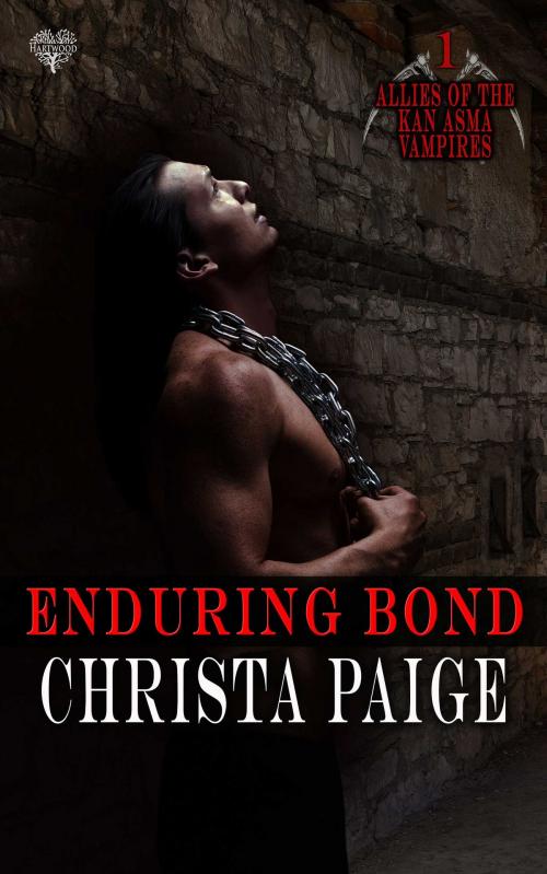 Cover of the book Enduring Bond by Christa Paige, Hartwood Publishing