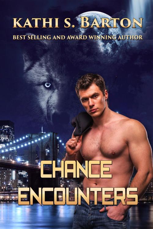 Cover of the book Chance Encounters by Kathi S. Barton, World Castle Publishing, LLC