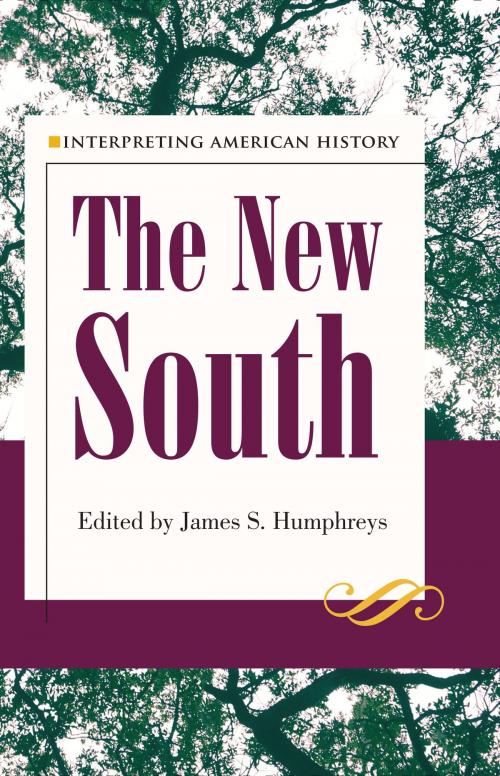 Cover of the book Interpreting American History: The New South by , The Kent State University Press