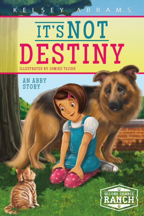 Cover of the book It's Not Destiny by Kelsey Abrams, North Star Editions