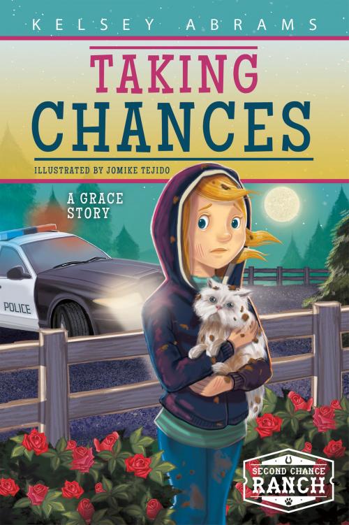 Cover of the book Taking Chances by Kelsey Abrams, North Star Editions