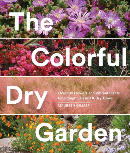 Cover of the book The Colorful Dry Garden by Maureen Gilmer, Sasquatch Books