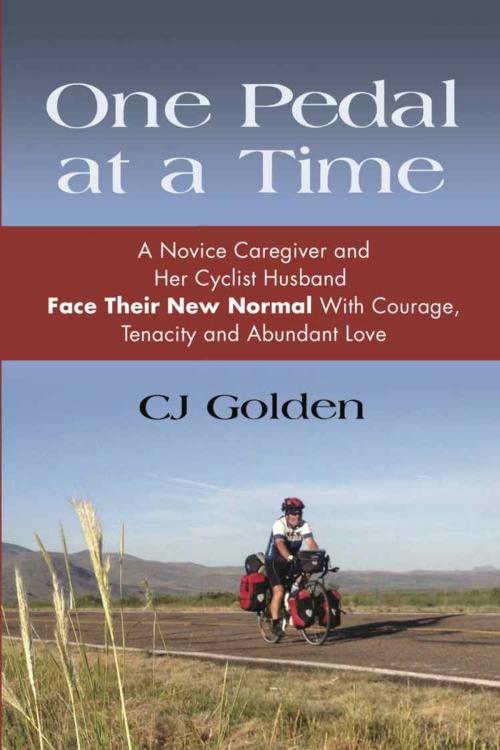 Cover of the book ONE PEDAL AT A TIME by CJ Golden, Booklocker.com, Inc.