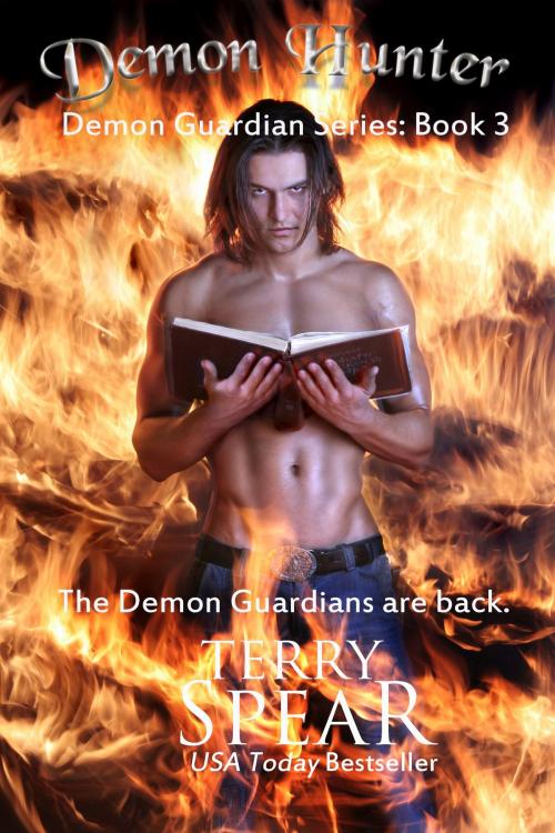 Cover of the book Demon Hunter by Terry Spear, Terry Spear