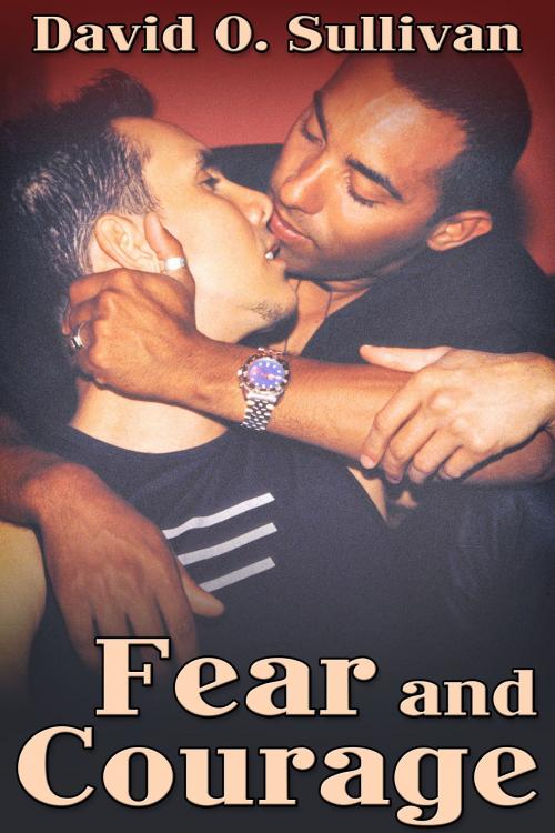 Cover of the book Fear and Courage by David O. Sullivan, JMS Books LLC